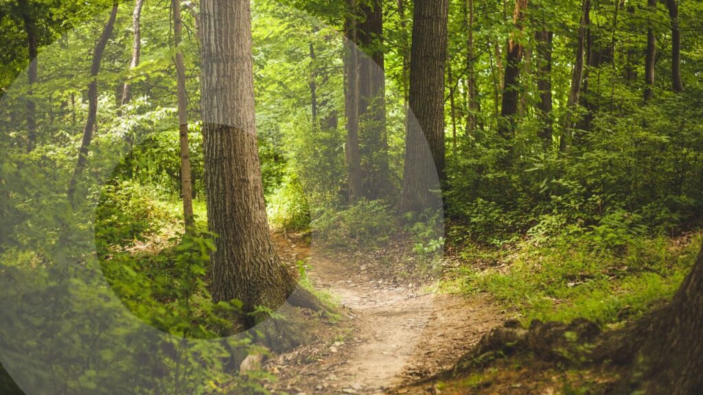 guidede meditationer på dansk