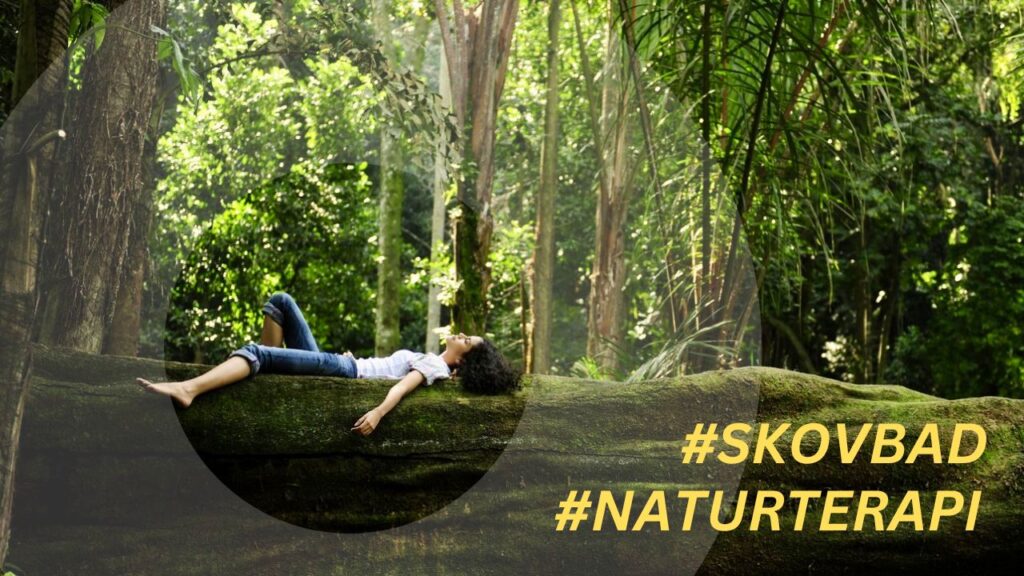 skovbad naturterapi shinrin yoku på dansk guidede skovmeditationer