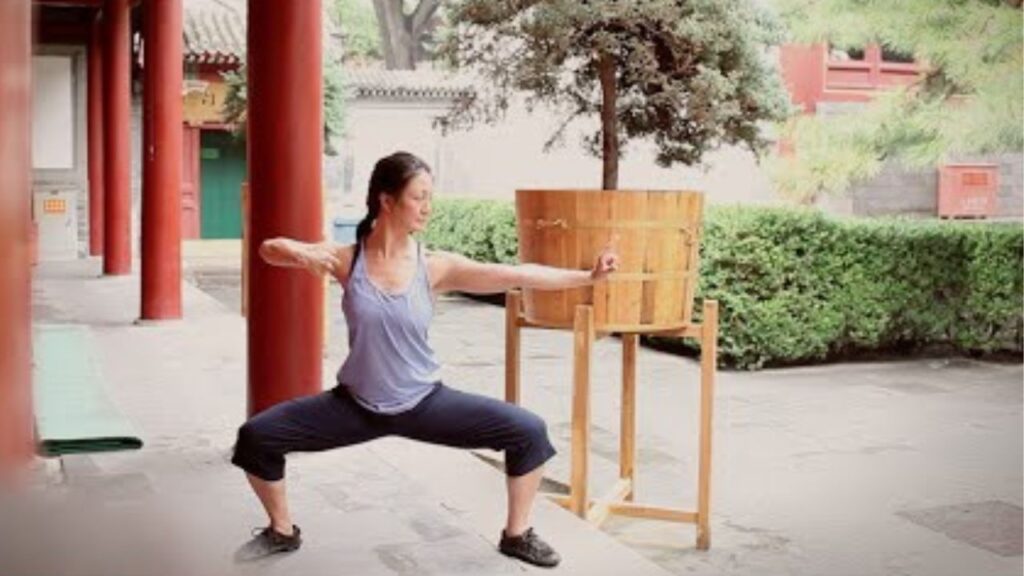 de otte silkebrokader qigong ba duan jin